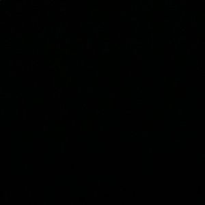 Meet your Posher, Maya